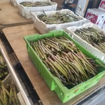 Fresh asparagus in produce bins