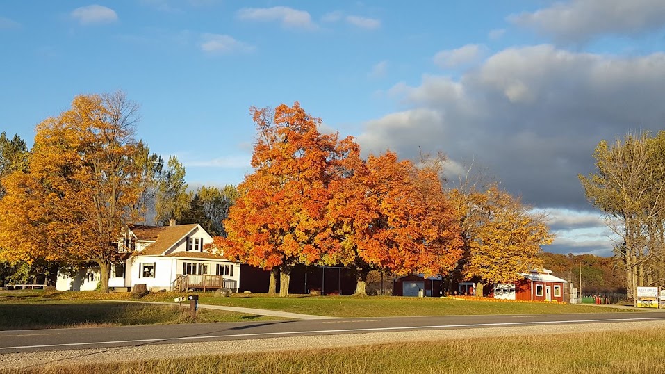 Bush's Farm Market in autumn