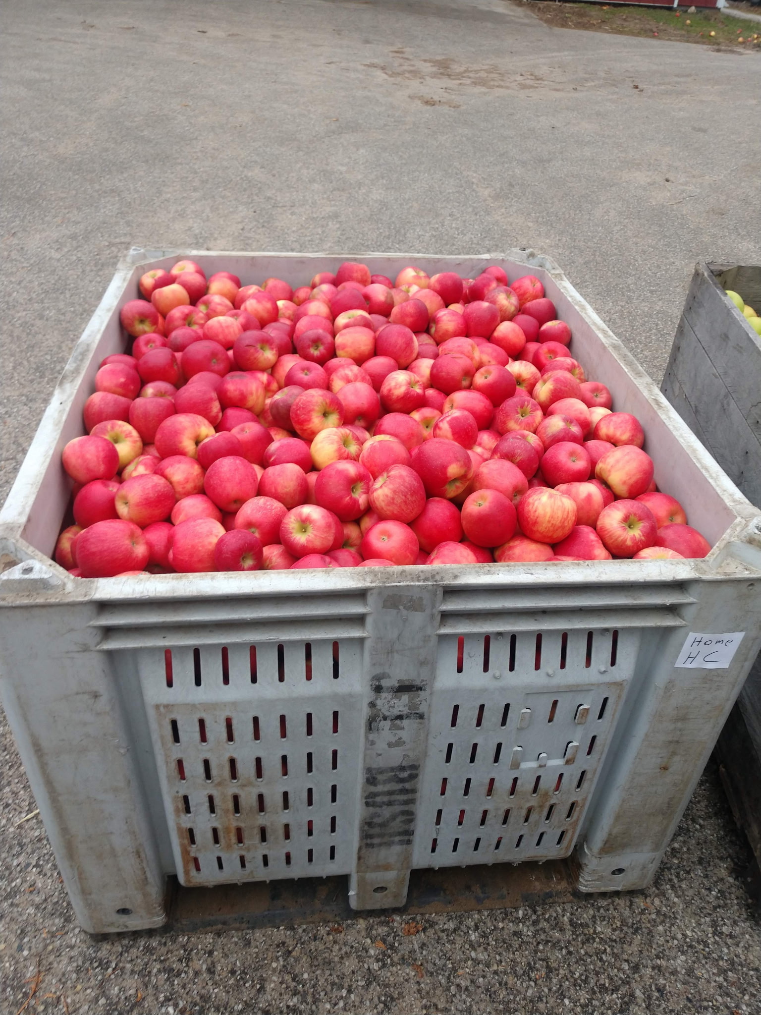 Apple boxes at the farm