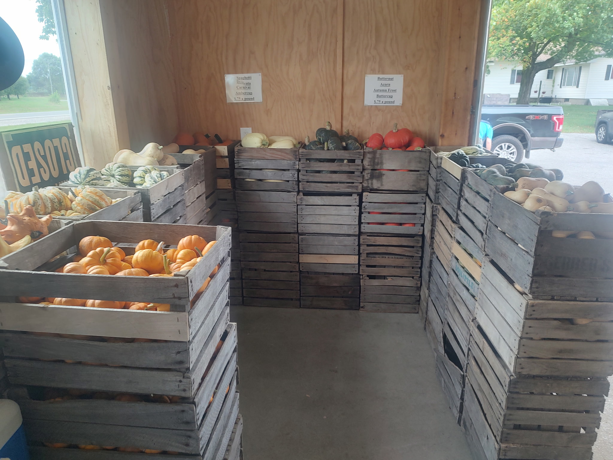Fresh squash at Bush's Farm Market