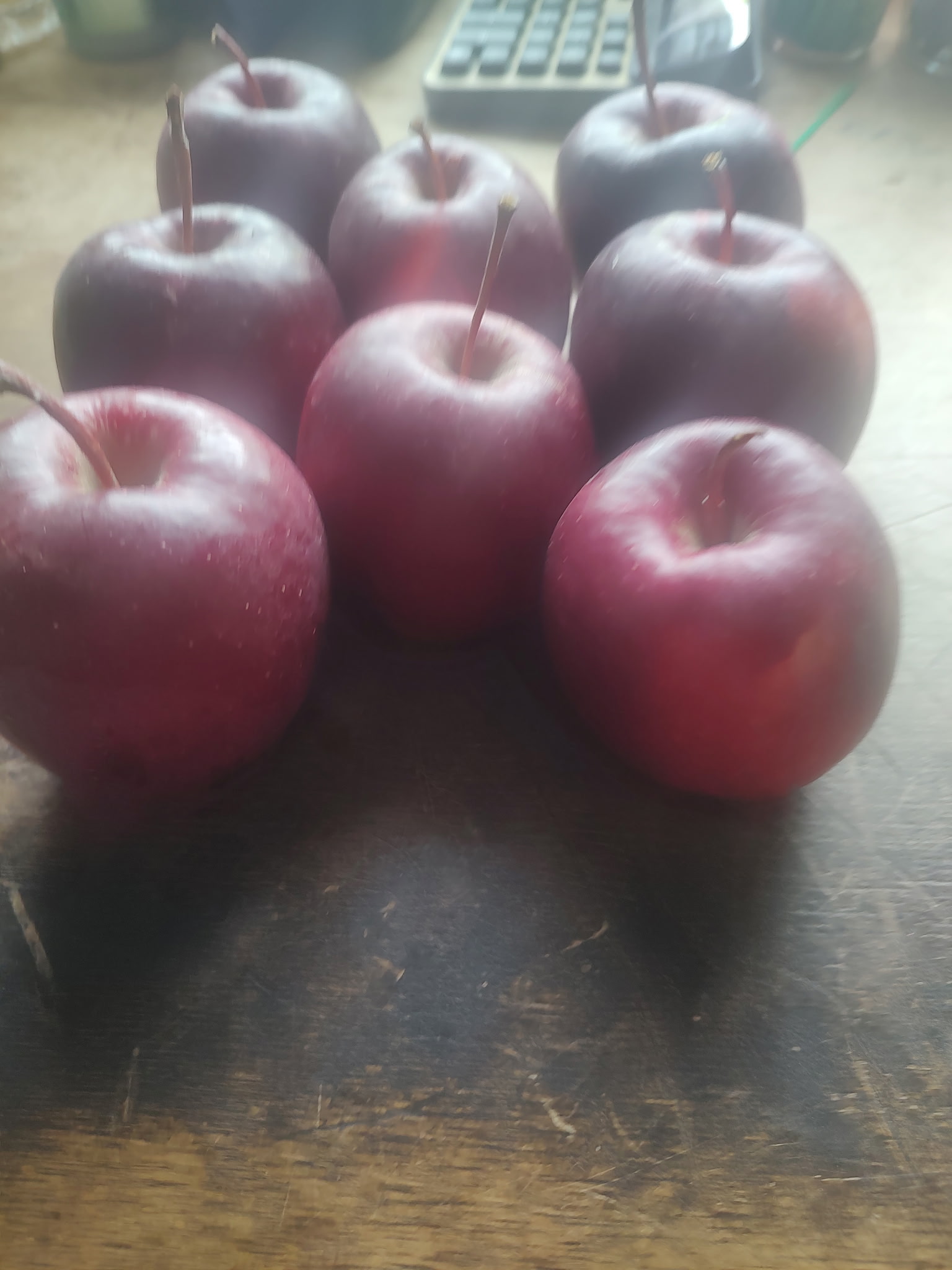 Apples at Bush's Farm Market